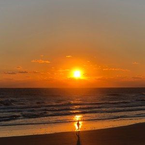 Meet your Posher, Timothy